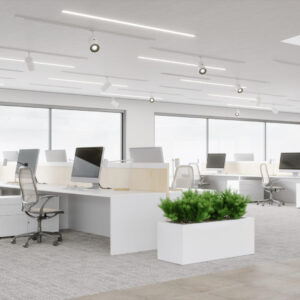 assdigit support gestion